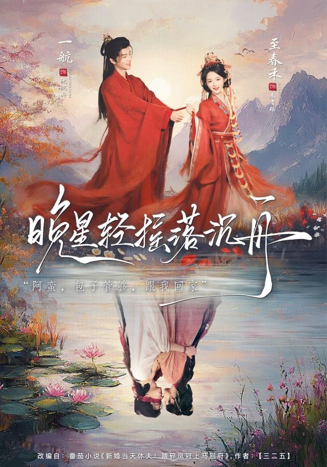 晚星轻摇落沉舟海报